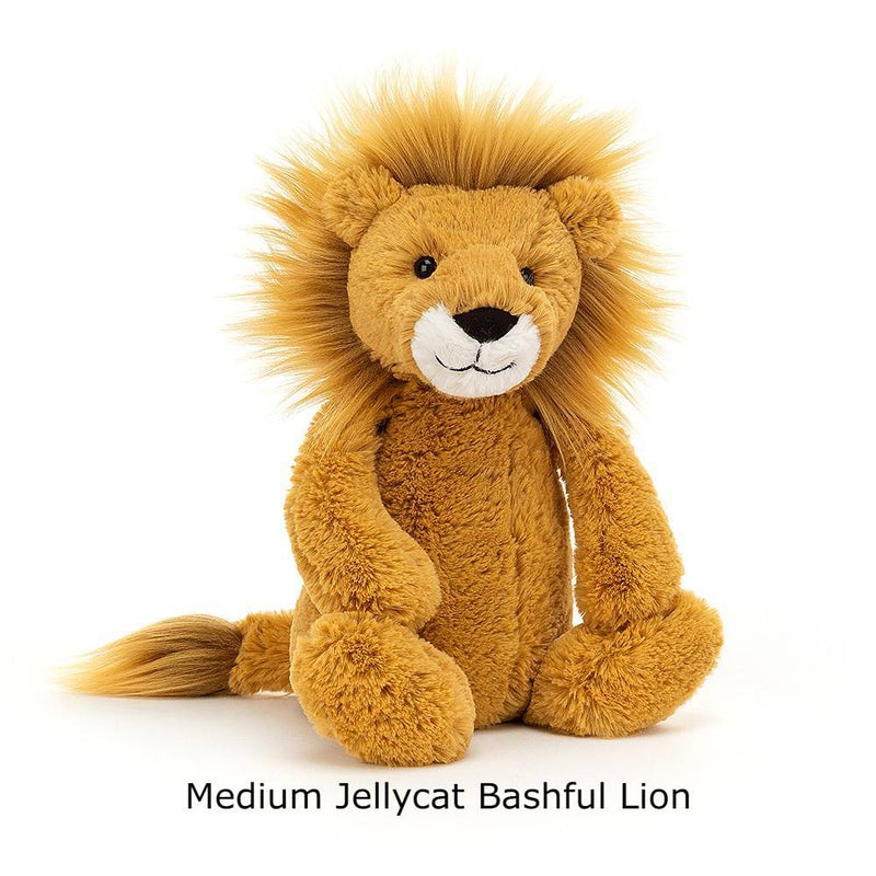 Jellycat | Bashful Lion -Med