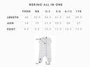 Babu | Merino All-In-One -Footed-Sage Stripe