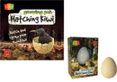 Hatching Kiwi Growing Pet