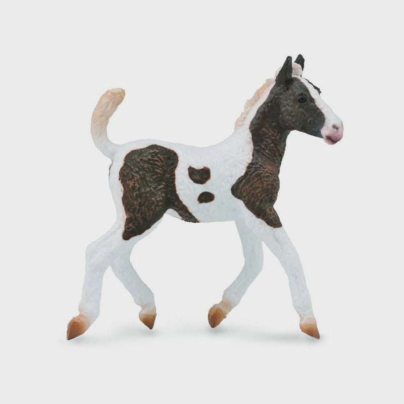 CollectA Curly Foal