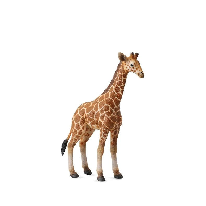 CollectA | Reticulated Giraffe Calf Figurine