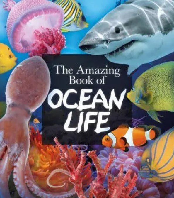 The Amazing Book of Ocean Life