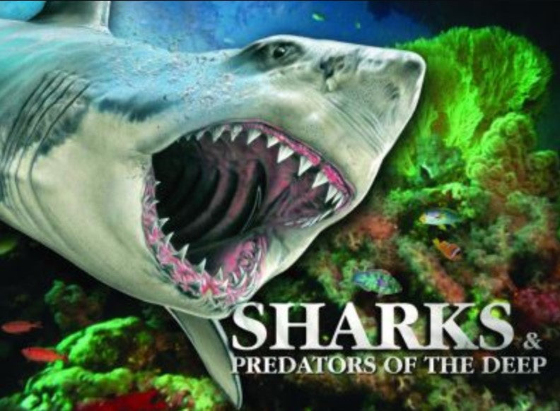 Sharks and Predators of the Deep
