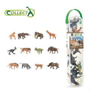 Collecta | Box of Mini Prehistoric Animals