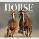 Horse Magnificent Playful Loyal