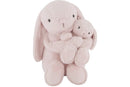 Snuggle Bunnies: Frankie the Hugging Bunny - Blossom 30cm Plush