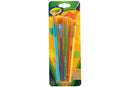 Crayola Art & Craft Brushes Pack of 5