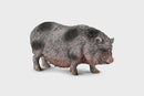 CollectA Pot Bellied Pig Figurine (M)