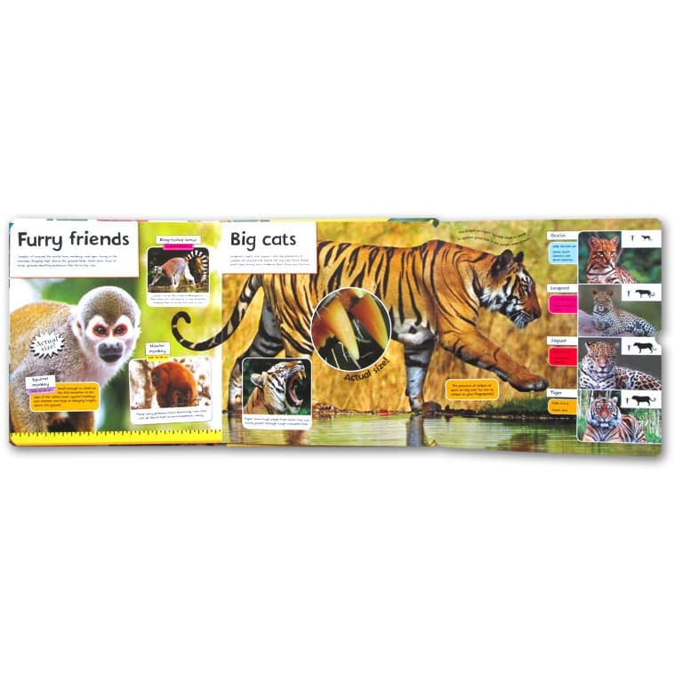 LIFE-SIZE: JUNGLE ANIMALS (LIFE-SIZE BOARDS)