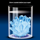 Piano Potato Crystal Growing RRP $12.99