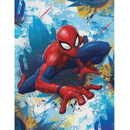 Card Wg Gift Card Birthday Juv Spiderman