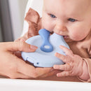 B.box Fill & Feed Assorted