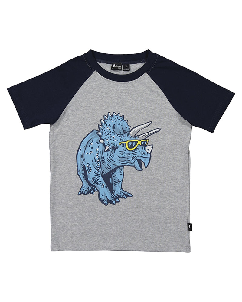 Radicoll kids | Rad Dino Raglan Tee