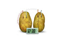 4M Potato Clock- Green Science