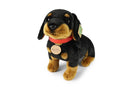 Rappa: Dachshund w/Collar (30cm) Plush