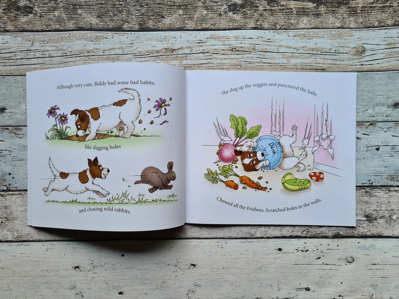 "Little Iddy Biddy" By Lee Lamb