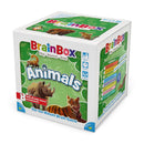 BrainBox - Animals (Refresh) 55 Cards
