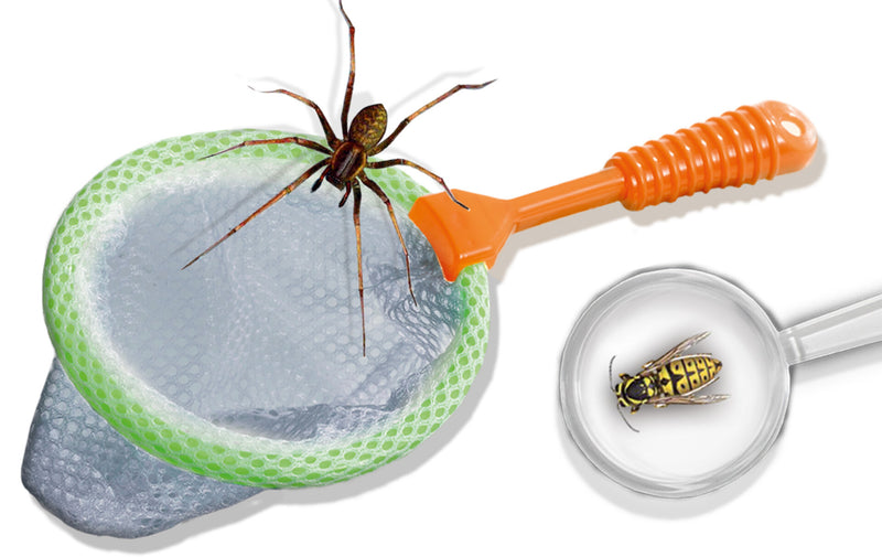 SES |  Insect Explorer Kit