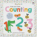 Hide and Seek Counting