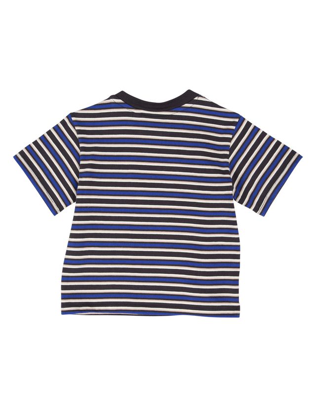 Animal Crackers | Blaze Tee Stripe