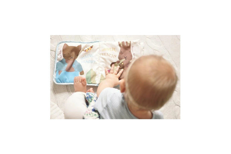 Night Night Peter Rabbit Cloth Book
