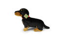 Rappa: Dachshund w/Collar (30cm) Plush