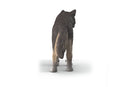Schleich - Wolf