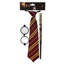 Harry Potter Costume Accessories