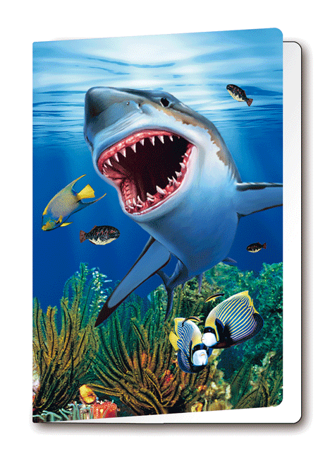 3D Shark Birthday card