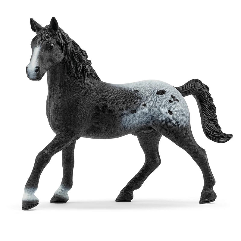 Schleich Horse Knappstrupper Stallion Limited Edition Toy Figurine