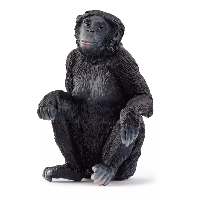 Schleich Bonobo Female Toy Figure