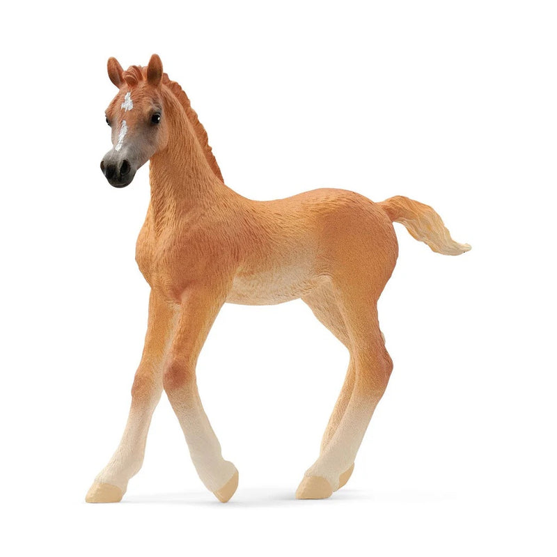 Schleich Horse Arabian Foal