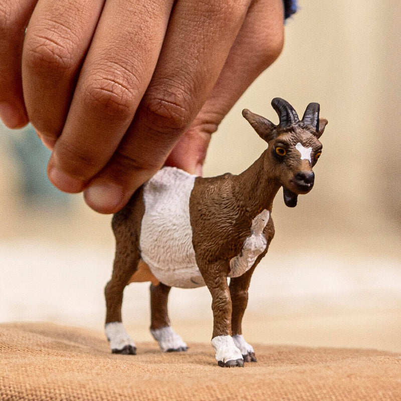 Schleich | Goat 2025