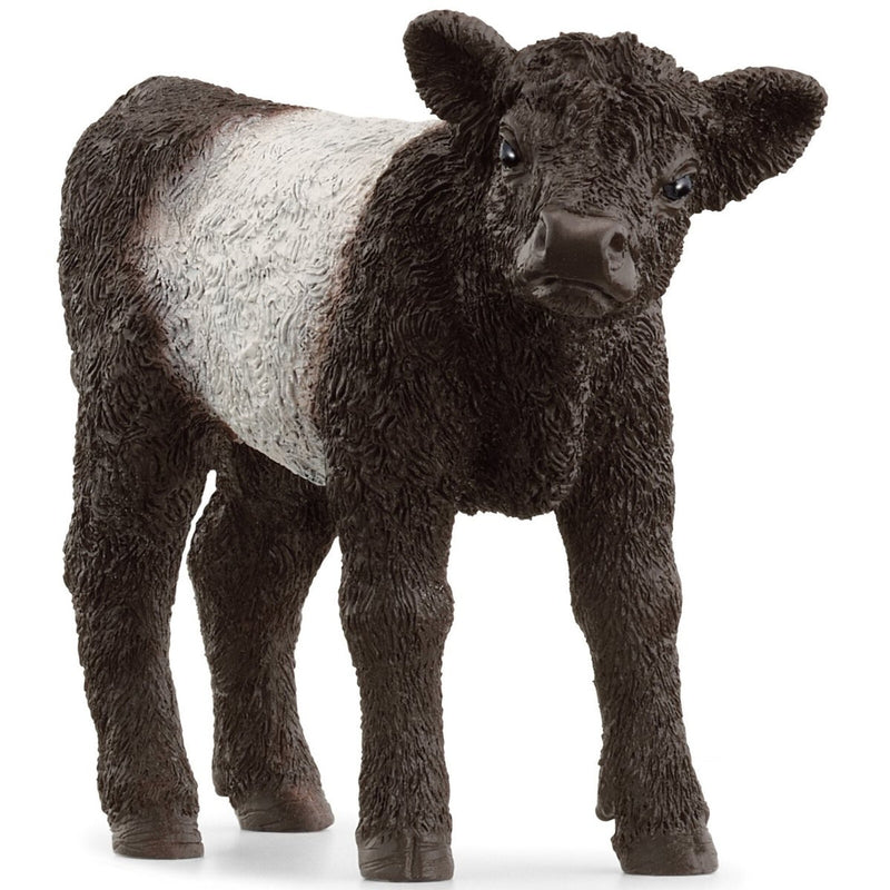 Schleich Galloway Calf Toy Figure