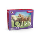 Schleich | Horse Club Starter Set