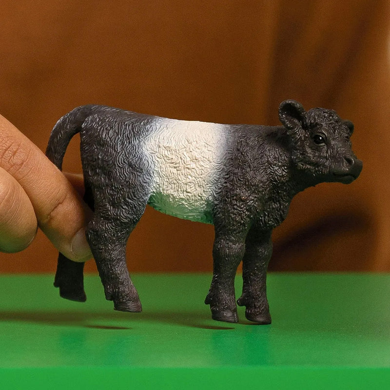 Schleich Galloway Calf Toy Figure