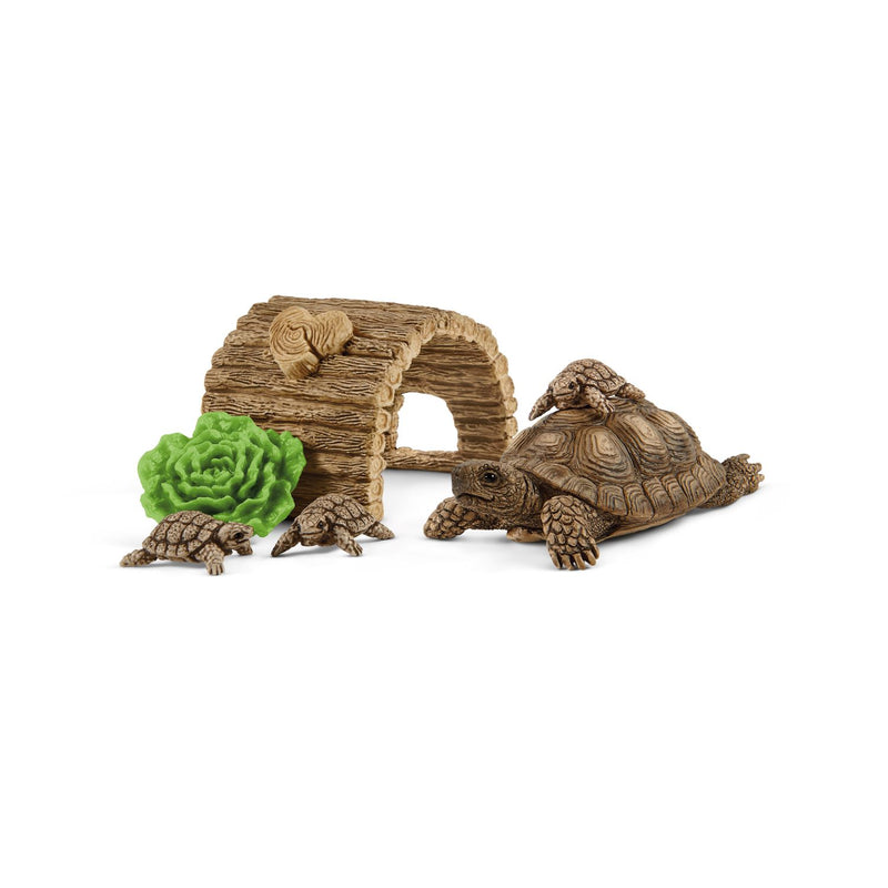 Schleich | Wildlife - Tortoise Home