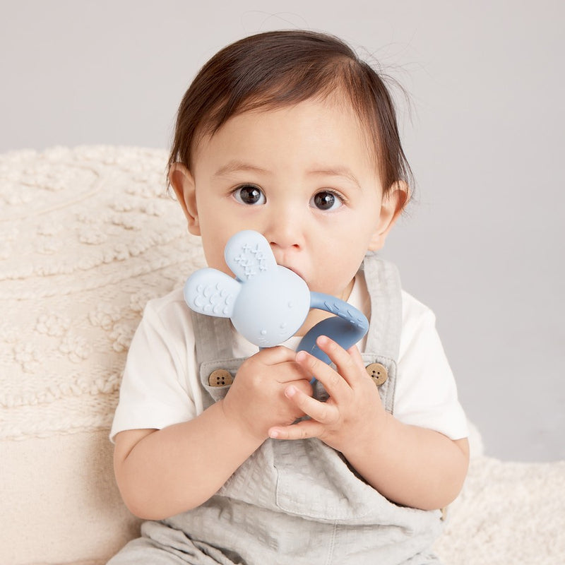 B.Box | Chill + Fill Teether - Assorted