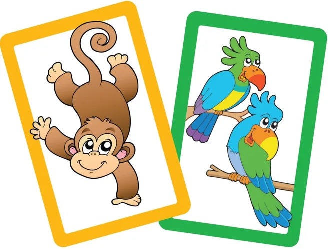 Snap & Pairs Zoo Card Game