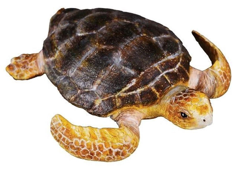 CollectA Loggerhead Turtle Figurine