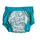Wee Pants Training Undies - Assorted