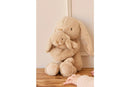 Snuggle Bunnies: Frankie the Hugging Bunny - Caramel 30cm Plush