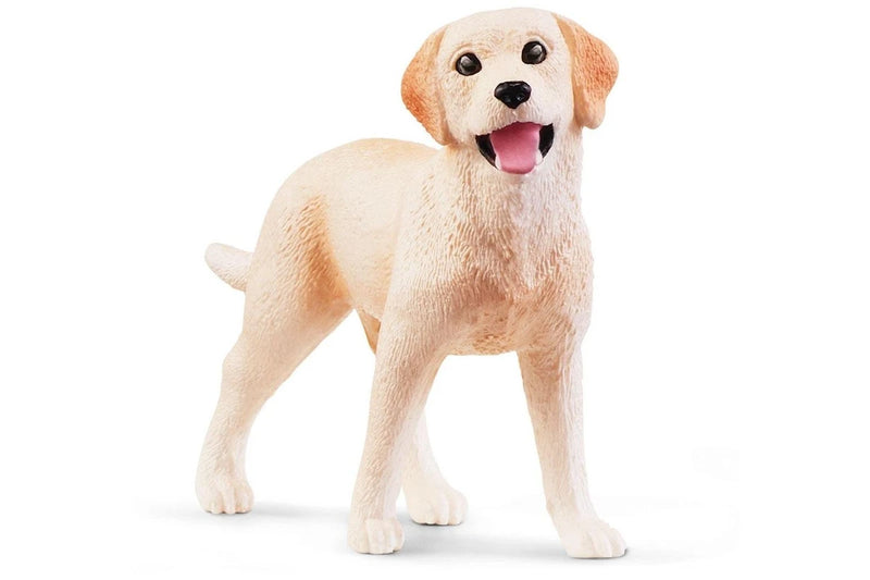 Schleich | Western Riding Adventures