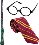 Harry Potter Costume Accessories