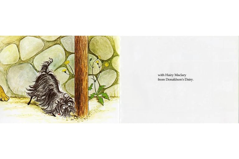 Hairy Maclary Book and Toy Set