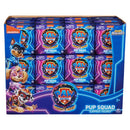 PAW Patrol Pup Squad Surprise Figures - Asst