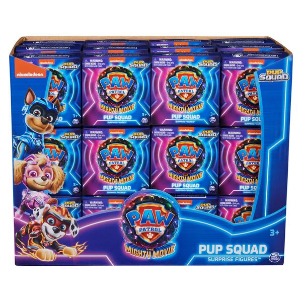 PAW Patrol Pup Squad Surprise Figures - Asst