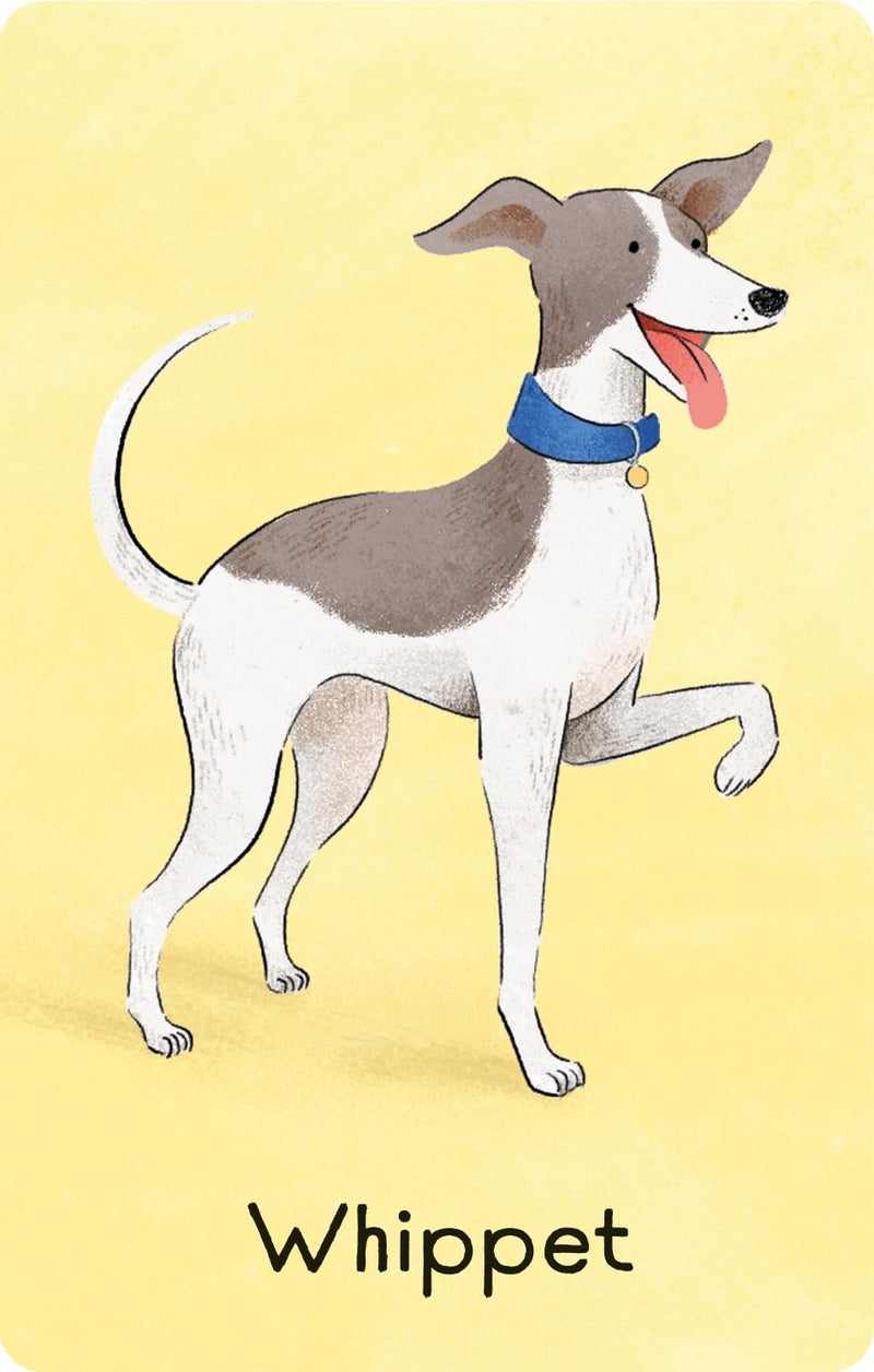 Usborne | Dogs Snap (Snap Cards)