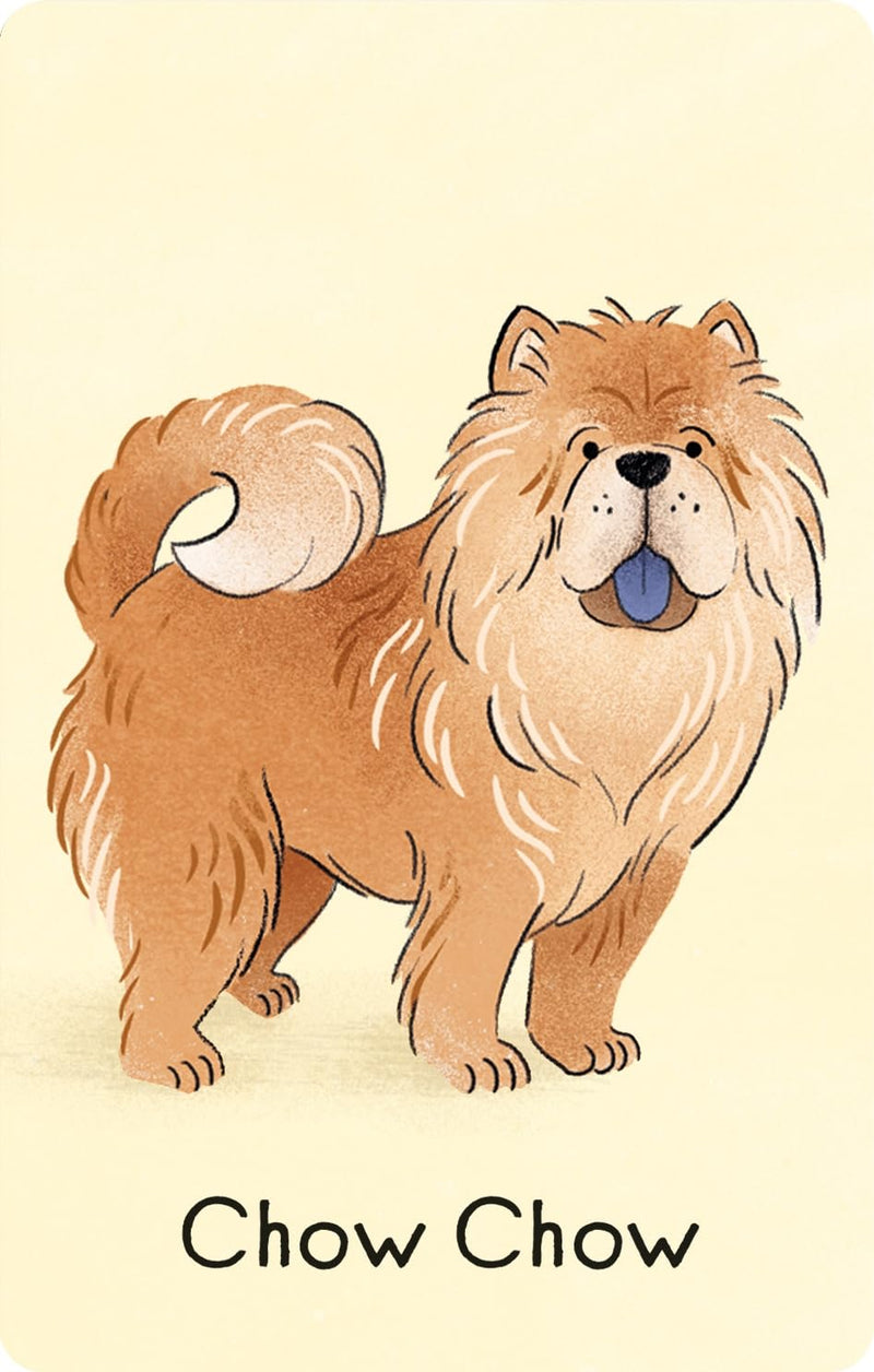 Usborne | Dogs Snap (Snap Cards)
