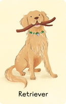 Usborne | Dogs Snap (Snap Cards)